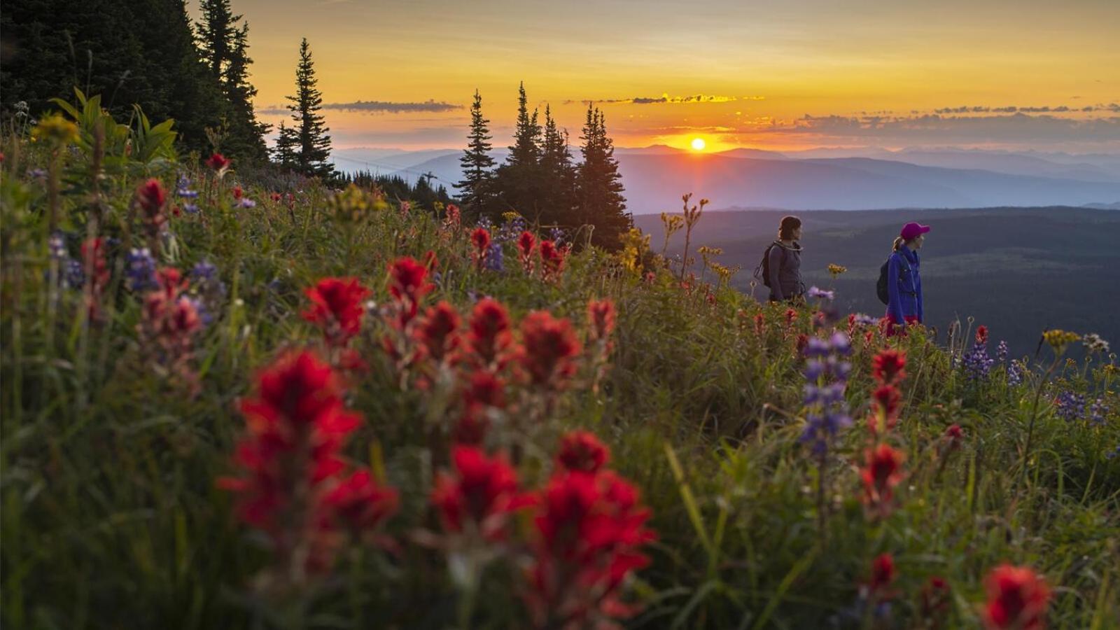 Soleil Chalet By Bear Country サンピークス 部屋 写真