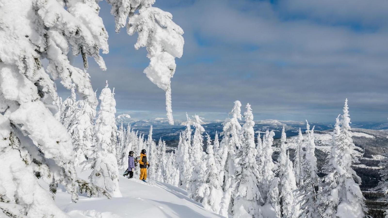 Soleil Chalet By Bear Country サンピークス 部屋 写真